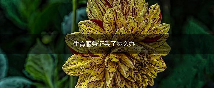 生育服务证丢了怎么办,第1张