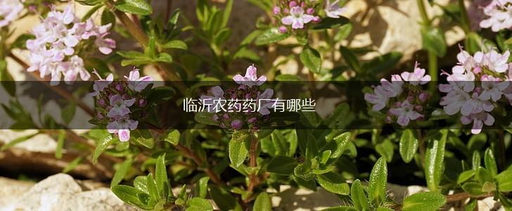 临沂农药药厂有哪些,第1张