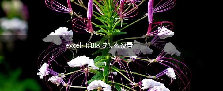 excel打印区域怎么设置,第1张