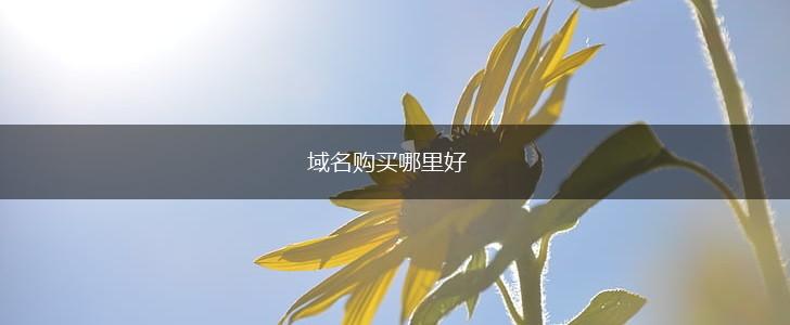 域名购买哪里好,第1张