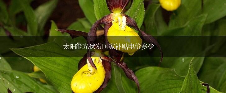 太阳能光伏发国家补贴电价多少,第1张