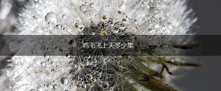 鸡毛飞上天多少集,第1张