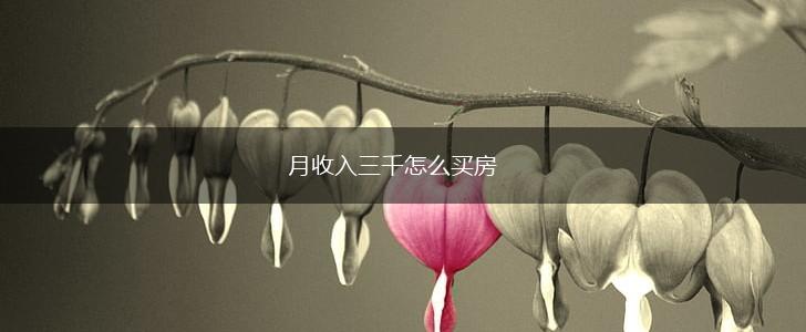 月收入三千怎么买房,第1张