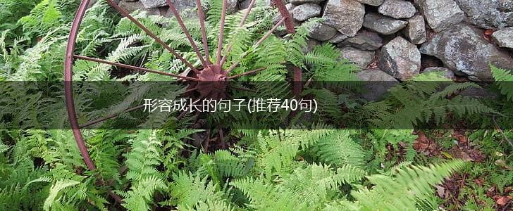 形容成长的句子(推荐40句),第1张