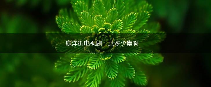 麻洋街电视剧一共多少集啊,第1张