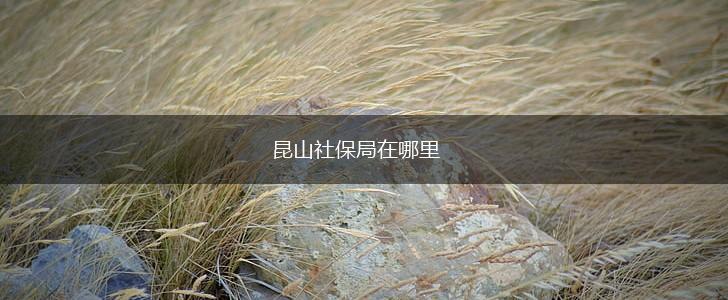 昆山社保局在哪里,第1张