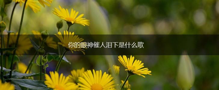 你的眼神催人泪下是什么歌,第1张
