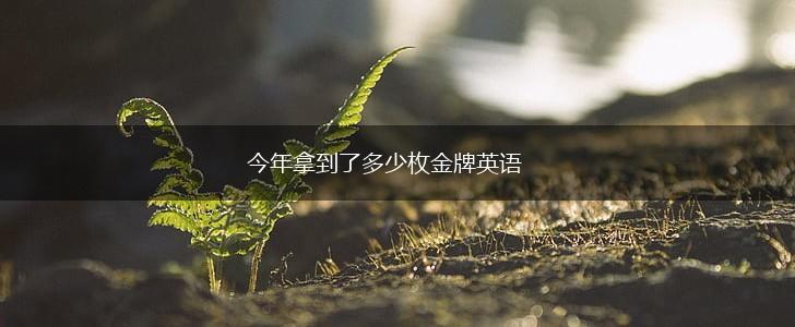 今年拿到了多少枚金牌英语,第1张