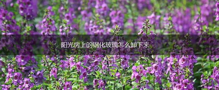 阳光房上的钢化玻璃怎么卸下来,第1张