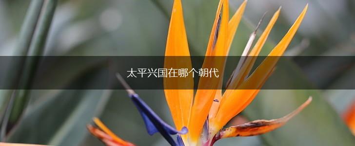 太平兴国在哪个朝代,第1张