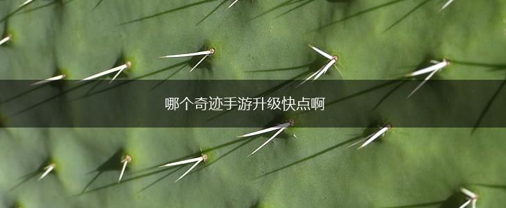 哪个奇迹手游升级快点啊,第1张