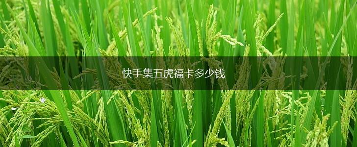 快手集五虎福卡多少钱,第1张