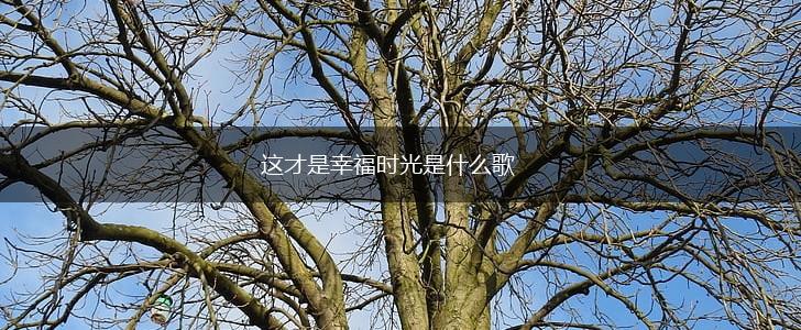 这才是幸福时光是什么歌,第1张