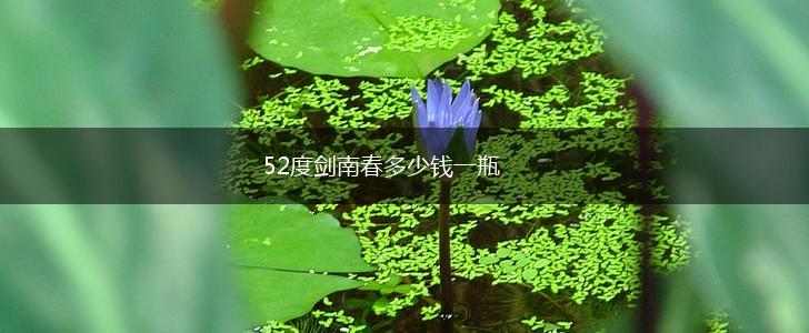 52度剑南春多少钱一瓶,第1张