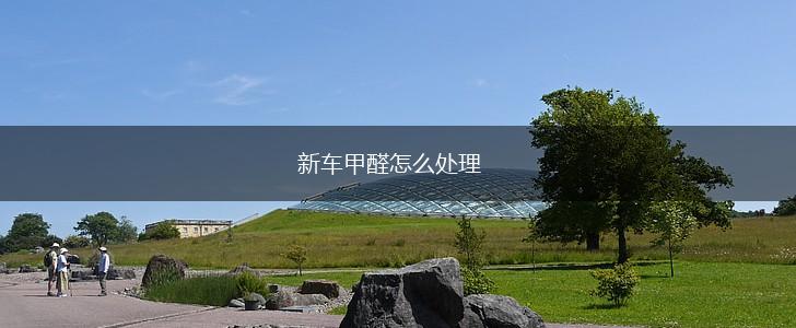 新车甲醛怎么处理,第1张