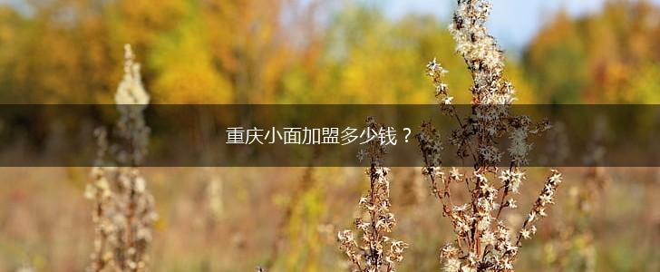 重庆小面加盟多少钱？,第1张