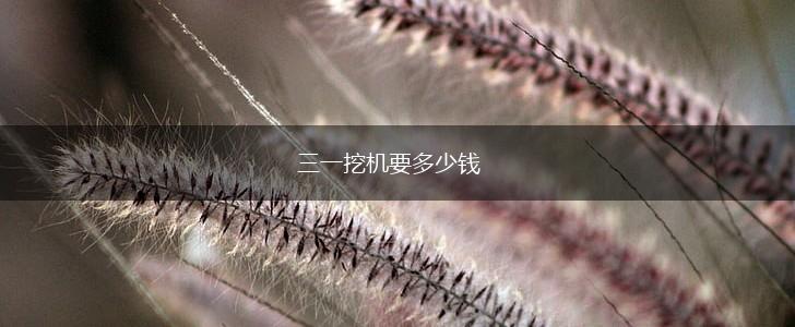 三一挖机要多少钱,第1张
