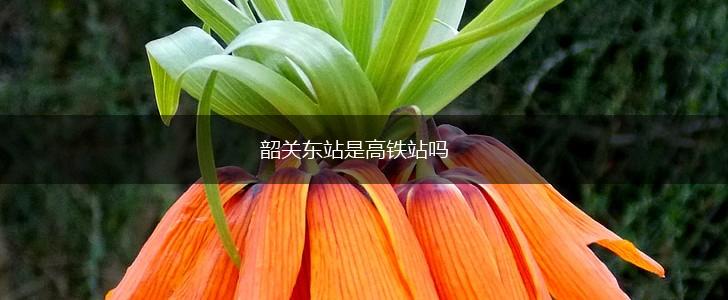 韶关东站是高铁站吗,第1张