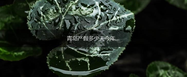 青岛产假多少天今年,第1张