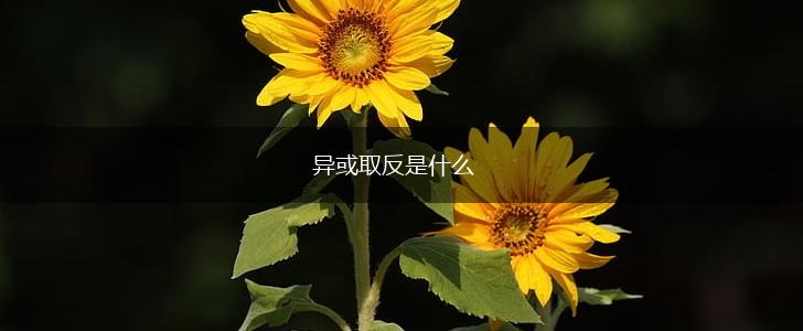 异或取反是什么,第1张