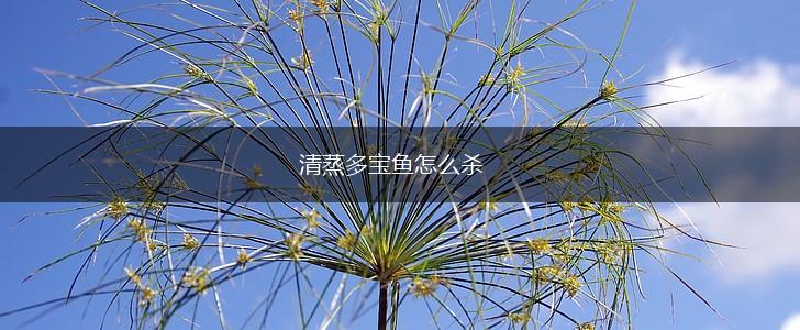 清蒸多宝鱼怎么杀,第1张