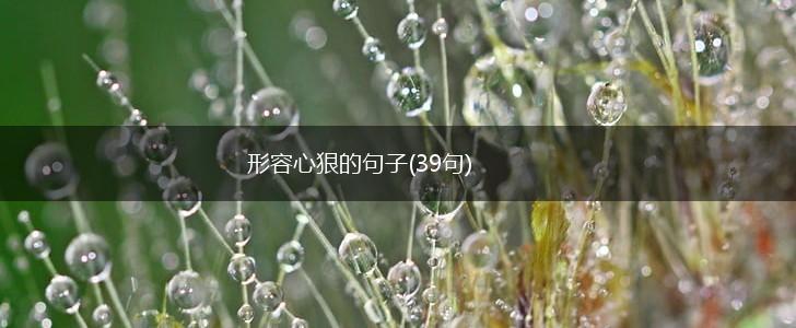 形容心狠的句子(39句),第1张