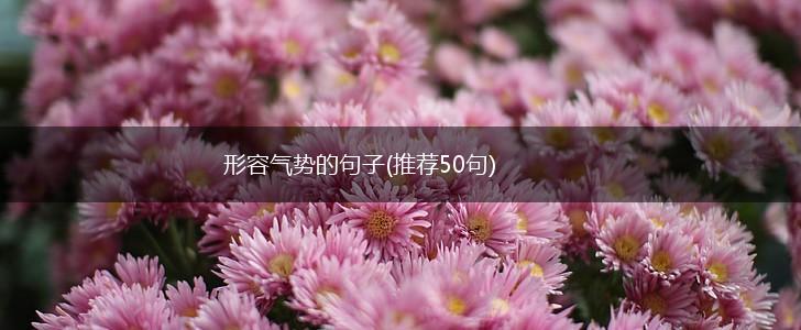 形容气势的句子(推荐50句),第1张