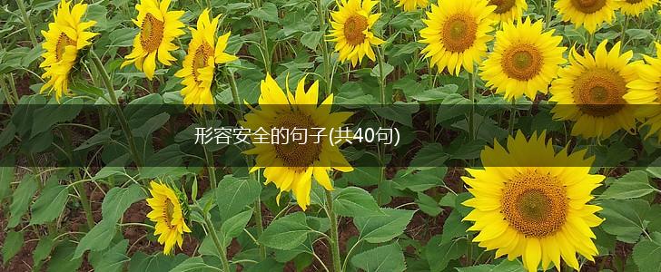 形容安全的句子(共40句),第1张
