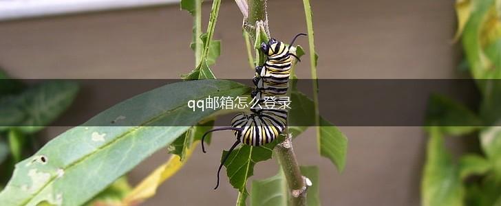 qq邮箱怎么登录,第1张