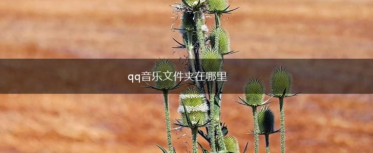 qq音乐文件夹在哪里,第1张