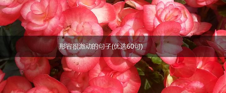 形容很激动的句子(优选60句),第1张