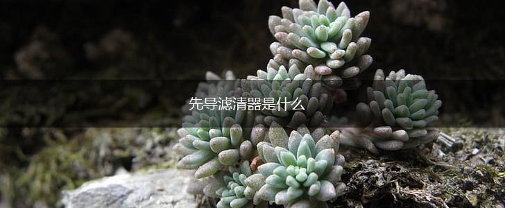 先导滤清器是什么,第1张