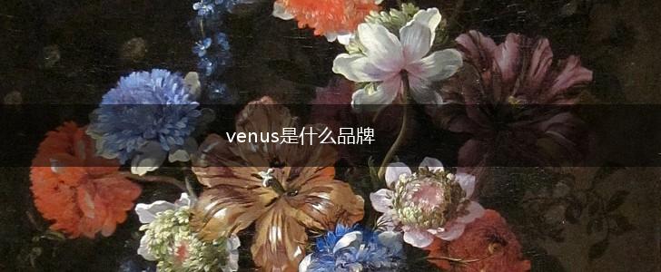venus是什么品牌,第1张