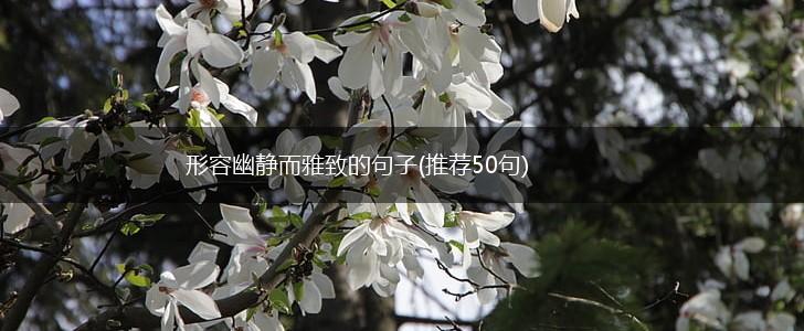 形容幽静而雅致的句子(推荐50句),第1张
