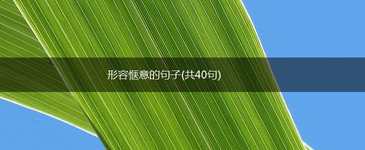形容惬意的句子(共40句),第1张