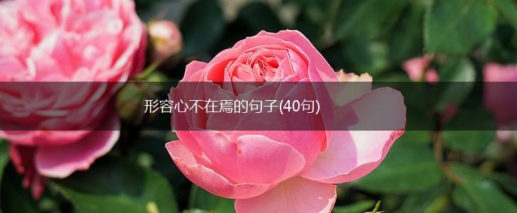 形容心不在焉的句子(40句),第1张