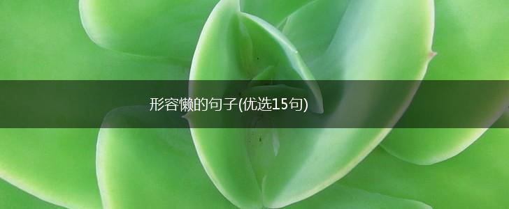 形容懒的句子(优选15句),第1张