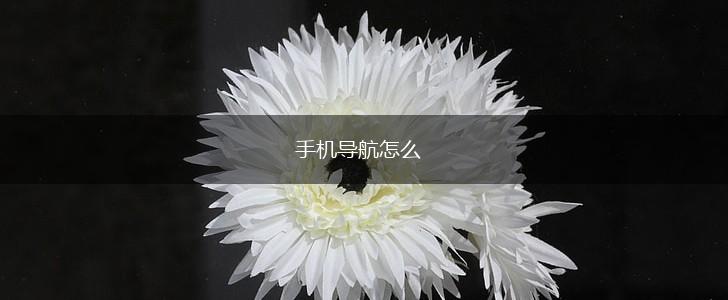 手机导航怎么,第1张