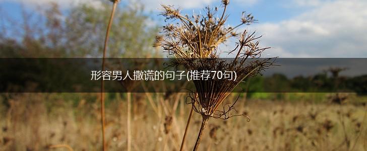 形容男人撒谎的句子(推荐70句),第1张
