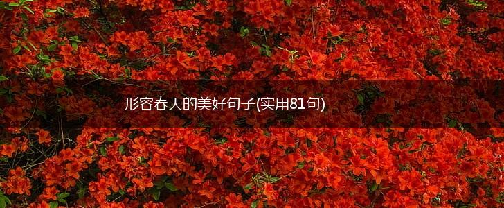 形容春天的美好句子(实用81句),第1张