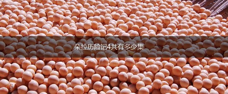 朵拉历险记4共有多少集,第1张