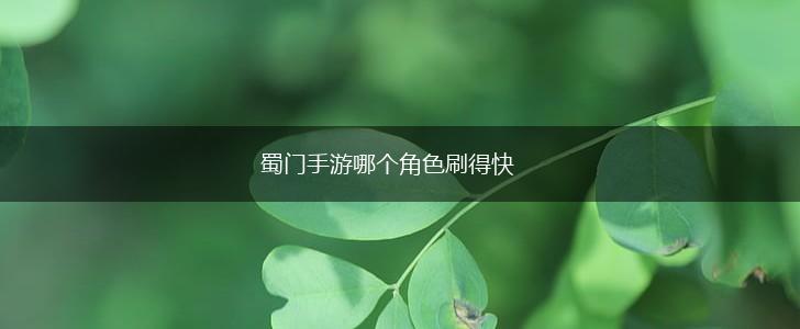 蜀门手游哪个角色刷得快,第1张