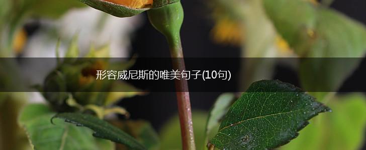形容威尼斯的唯美句子(10句),第1张
