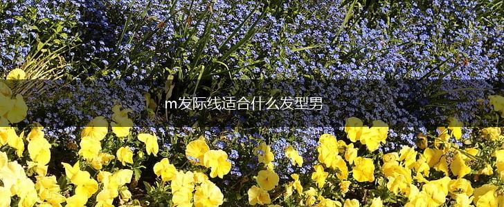 m发际线适合什么发型男,第1张