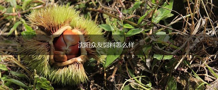 沈阳众友饲料怎么样,第1张