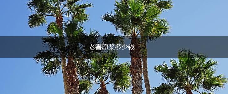 老窖原浆多少钱,第1张