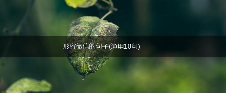 形容微信的句子(通用10句),第1张