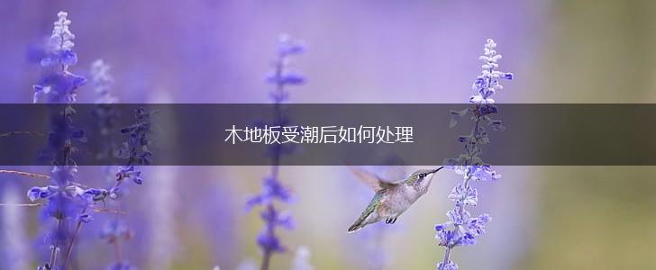 木地板受潮后如何处理,第1张