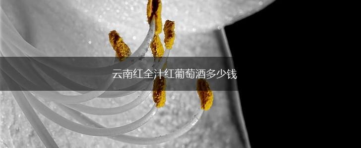 云南红全汁红葡萄酒多少钱,第1张