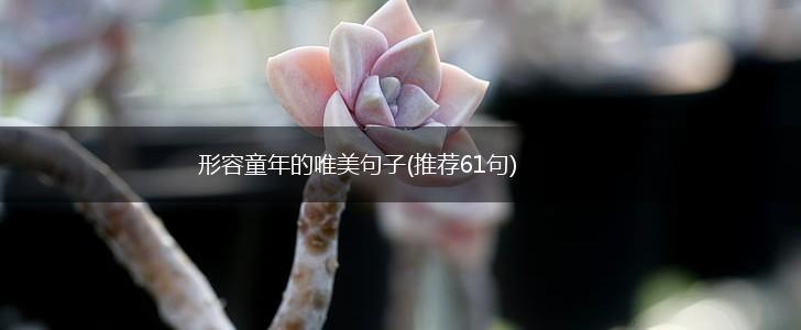 形容童年的唯美句子(推荐61句),第1张
